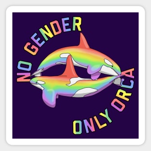 No Gender Only Orca Rainbow Sticker